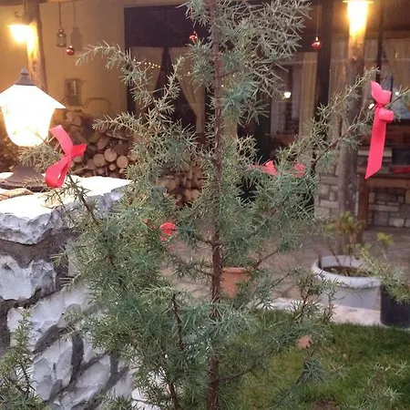 Πανσιόν η γωνιά 4*